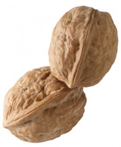 walnuts